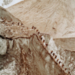 Porters, the expedition crew of K2 first ascent 1954