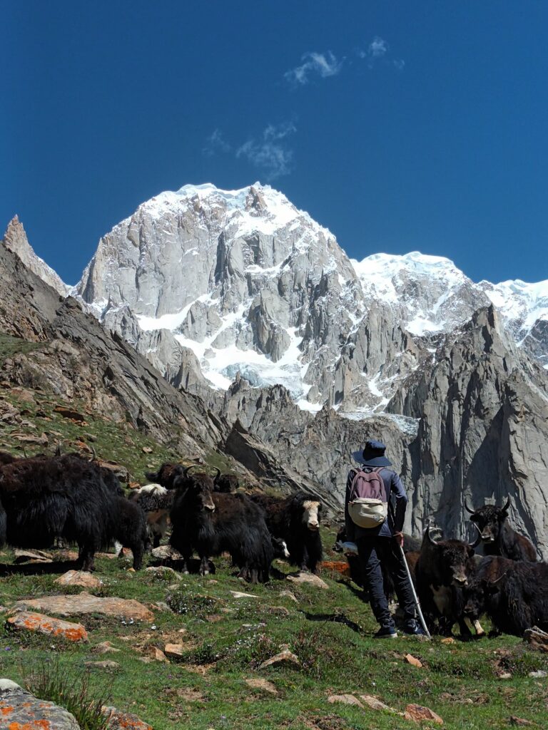 Hunza Peak Climbing